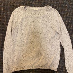 Grey speckled sweater from Joie